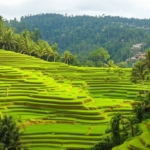 Bali di Luar Jalur Umum: Menemukan Permata Tersembunyi yang Jarang Dikunjungi