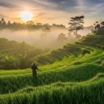 Ubud: Menemukan Kedamaian di Jantung Spiritual dan Budaya Bali