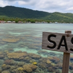 Tradisi Sasi: Kearifan Lokal Maluku dalam Menjaga Alam