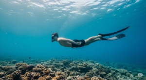 Free Diving di Amed: Belajar Menyelam Tanpa Tabung di Laut Tenang