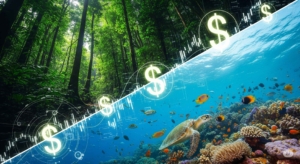 Valuasi Ekonomi Sumber Daya Alam: Menghitung Nilai Hutan dan Laut
