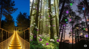 Orchid Forest Cikole: Jembatan Gantung Menyala di Tengah Hutan Pinus