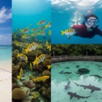 Itinerary 4 Hari di Karimunjawa: Menjelajahi Surga Tropis di Laut Jawa