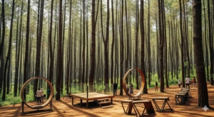 Hutan Pinus Mangunan: Pesona Hutan Kekinian dan Spot Foto Instagramable di Bantul