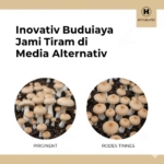 Inovasi Budidaya Jamur Tiram di Media Alternatif