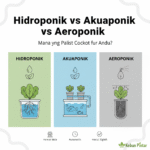Hidroponik vs Akuaponik vs Aeroponik: Mana yang Paling Cocok untuk Anda?