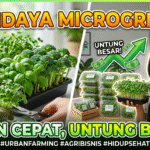 Budidaya Sayuran Mikro (Microgreens): Panen Cepat, Untung Besar